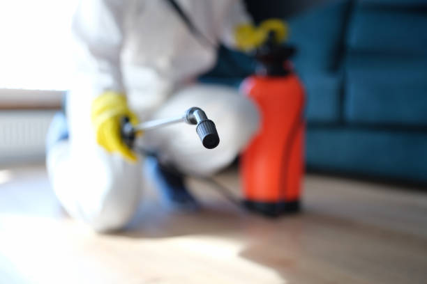 Progress Village, FL Mold Removal Company